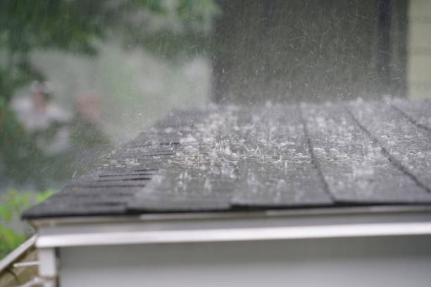 Best Gutter Installation and Repair  in Springfield, IL