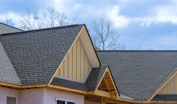 Best Solar Panel Roofing Installation  in Springfield, IL